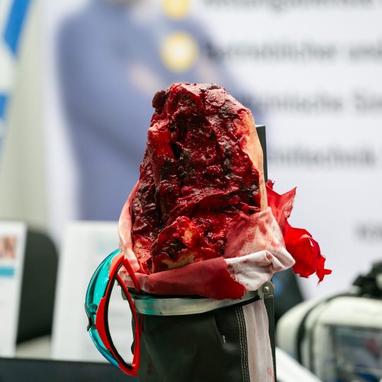 https://www.agn.at/kongress/wp-content/uploads/2024/06/A9A2049-540x540.jpg